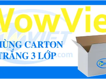 THÙNG CARTON 3 LỚP LÀ GÌ ?