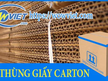 THÙNG GIẤY CARTON (CARDBOARD)