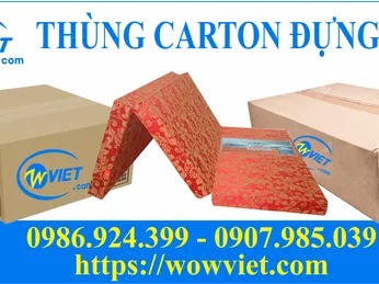 NỆM CẦN BAO BÌ THÙNG CARTON LỚN?