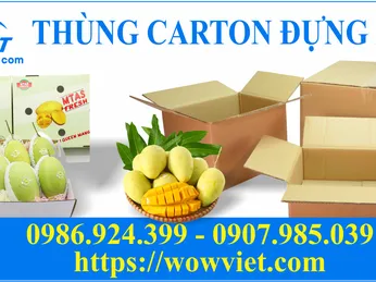 BÍ QUYẾT CHỌN THÙNG CARTON ĐỰNG XOÀI XUẤT KHẨU