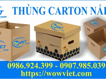 ỨNG DỤNG THÙNG CARTON NẮP RỜI