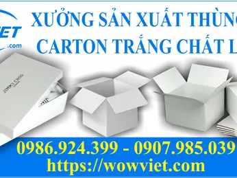 CƠ SỞ SẢN XUẤT THÙNG CARTON TRẮNG CHẤT LƯỢNG CAO