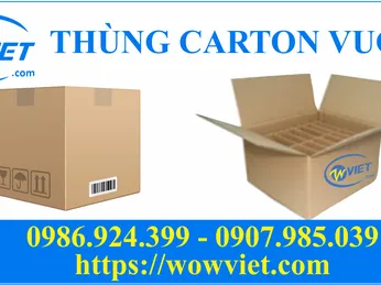 ỨNG DỤNG THÙNG CARTON VUÔNG