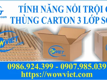 TÍNH NĂNG NỔI TRỘI CỦA THÙNG CARTON 3 LỚP SÓNG E