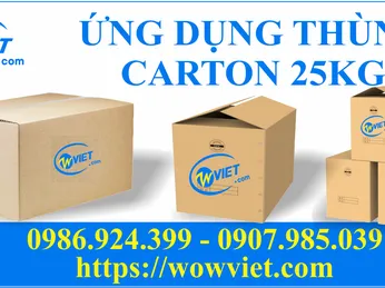 ỨNG DỤNG THÙNG CARTON 25KG