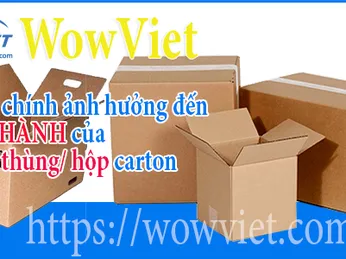 Yếu tố chính ảnh hưởng đến giá thành của bao bì thùng/ hộp carton