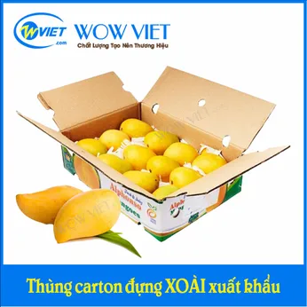 Thùng carton đựng xoài xuất khẩu