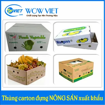 Thùng carton đựng nông sản xuất khẩu