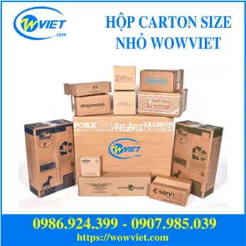 Hộp carton nhỏ