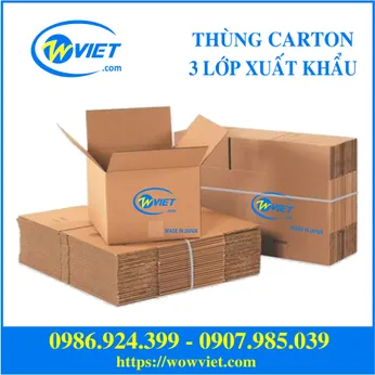 Thùng giấy carotn 3 lớp