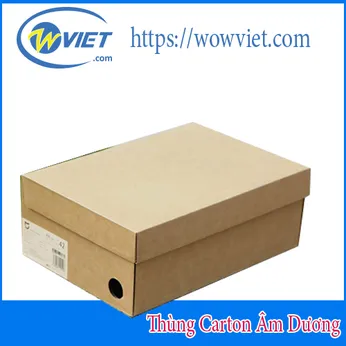 THÙNG CARTON ÂM DƯƠNG