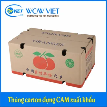 Thùng carton đựng cam xuất khẩu