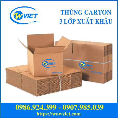 THÙNG GIẤY CARTON 3 LỚP THÙNG GIẤY CARTON 3 LỚP