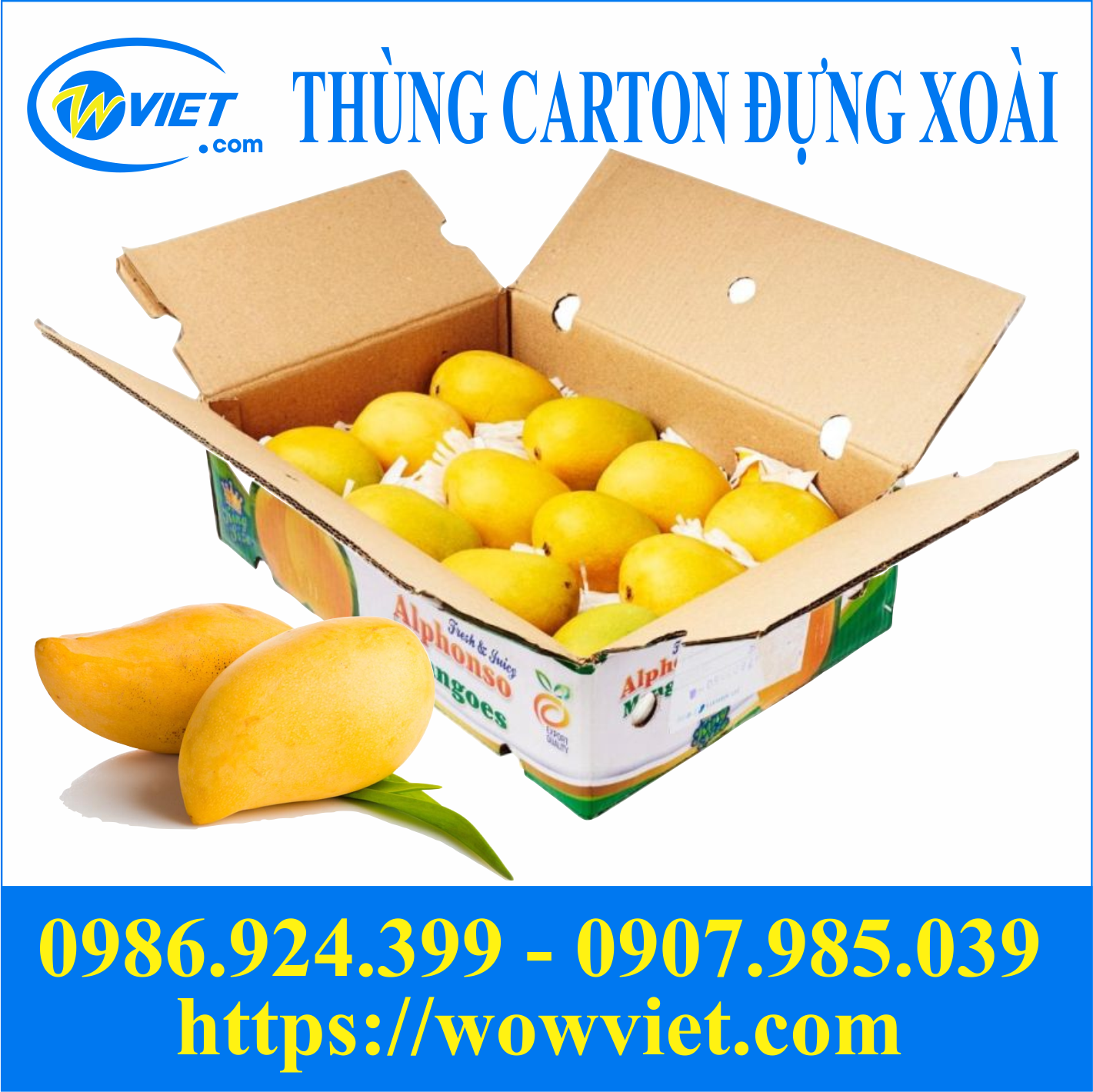 thung carrton dung xoai xuat khau