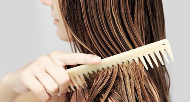 Chải tóc cũng là một cách chăm sóc tóc, bạn đã biết chưa?