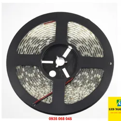 Led dây 7 màu không keo