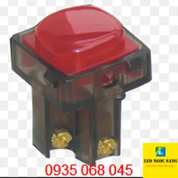 SBN Hạt Báo Đỏ