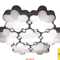 Đèn ốp trần A 0020