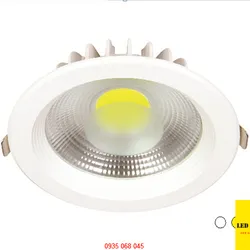 Đèn HE C1 30W đổi màu