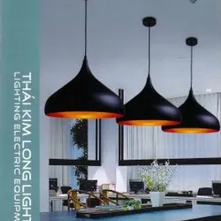 Đèn Trang Trí Thái Kim Long