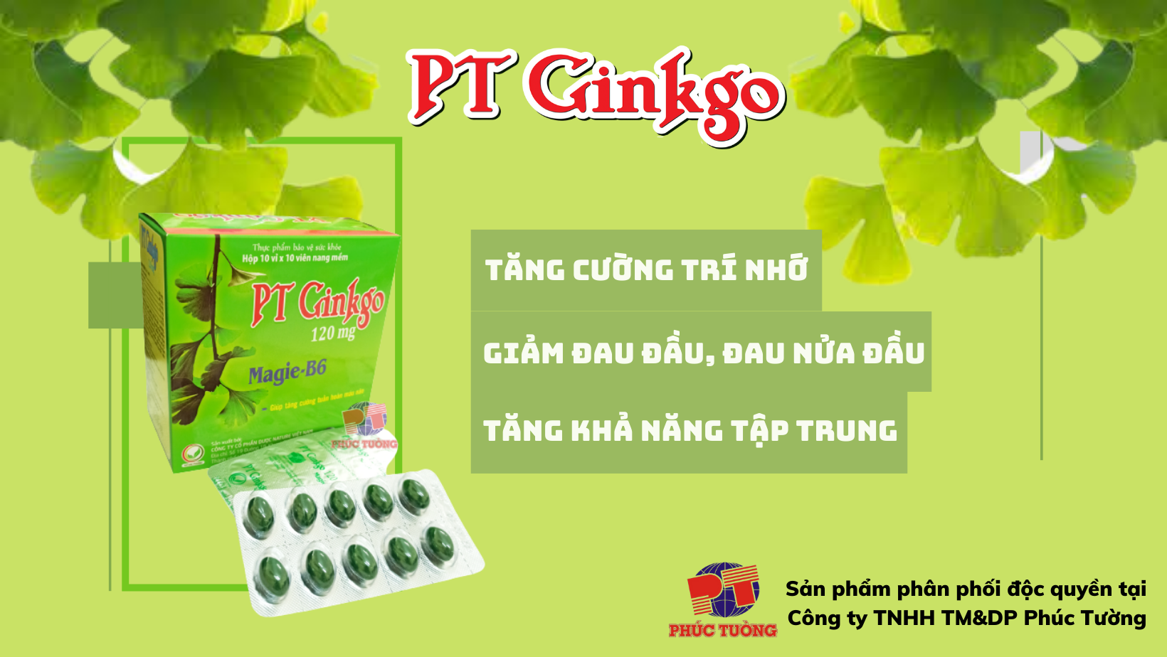 PT Ginkgo PT Ginkgo