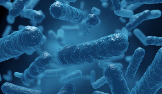 Vi khuẩn ăn thịt người thực chất không phải là tên của một loại vi khuẩn mà nó bao gồm một nhóm vi khuẩn gây nên Vi khuẩn ăn thịt người thực chất không phải là tên của một loại vi khuẩn mà nó bao gồm một nhóm vi khuẩn gây nên