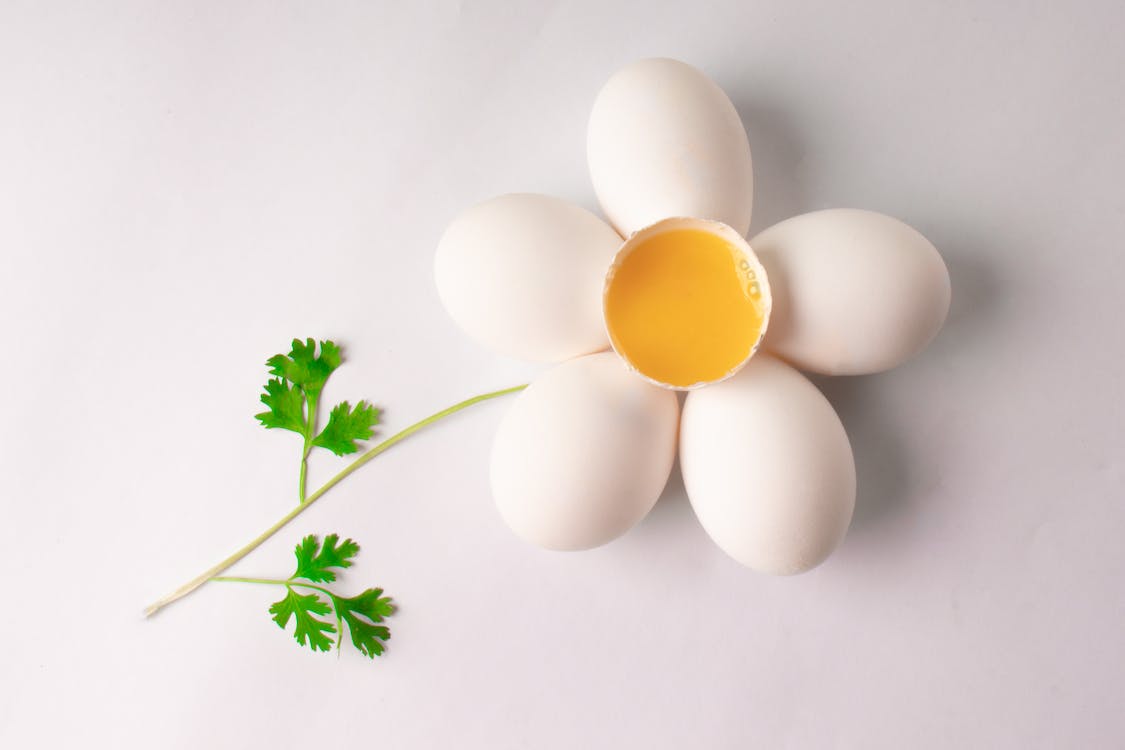 Lòng đỏ trứng gà chứa hàm lượng lớn DHA và choline tốt cho thai nhi  Lòng đỏ trứng gà chứa hàm lượng lớn DHA và choline tốt cho thai nhi