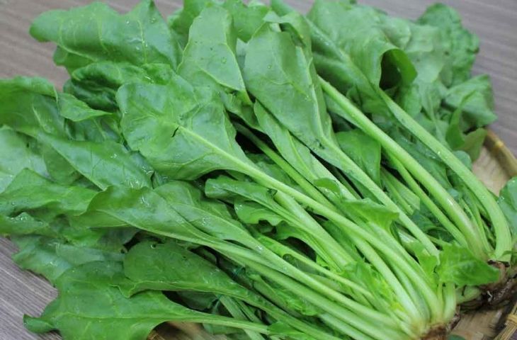 Các thực phẩm chống lão hoá da Các thực phẩm chống lão hoá da