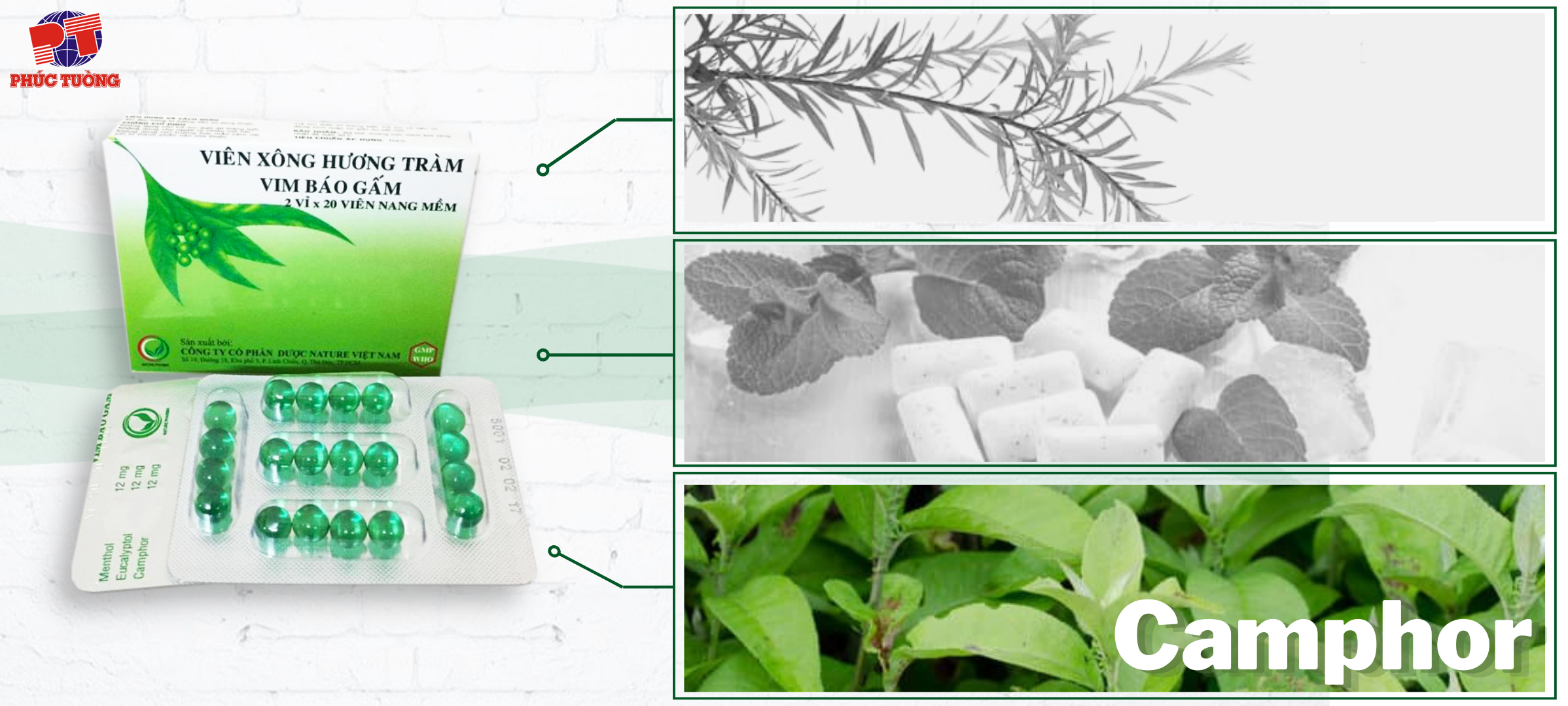 Camphor cho nhiều lợi ích trên các bệnh về đường hô hấp như giảm ho, giảm đau họng Camphor cho nhiều lợi ích trên các bệnh về đường hô hấp như giảm ho, giảm đau họng