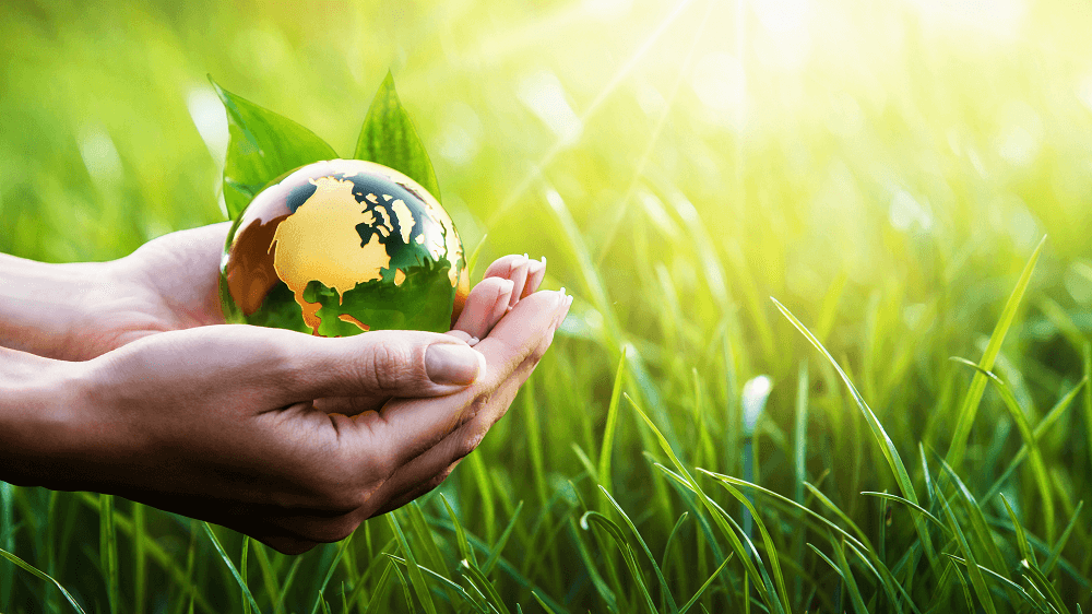 Chế độ ăn Flexitarian giúp bảo vệ môi trường Chế độ ăn Flexitarian giúp bảo vệ môi trường