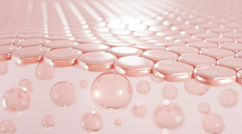 Collagen Type I là gì và tại sao nó quan trọng? Collagen Type I là gì và tại sao nó quan trọng?