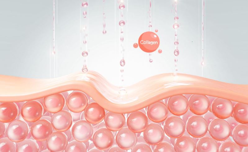 Collagen Type I - Chìa khóa chống lão hóa Collagen Type I - Chìa khóa chống lão hóa