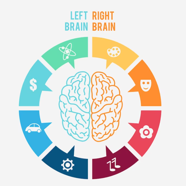 Ginkgo biloba giúp tăng cường tuần hào máu não Ginkgo biloba giúp tăng cường tuần hào máu não