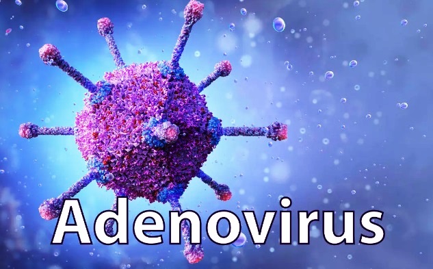 Virus gây viêm họng mùa lạnh Virus gây viêm họng mùa lạnh