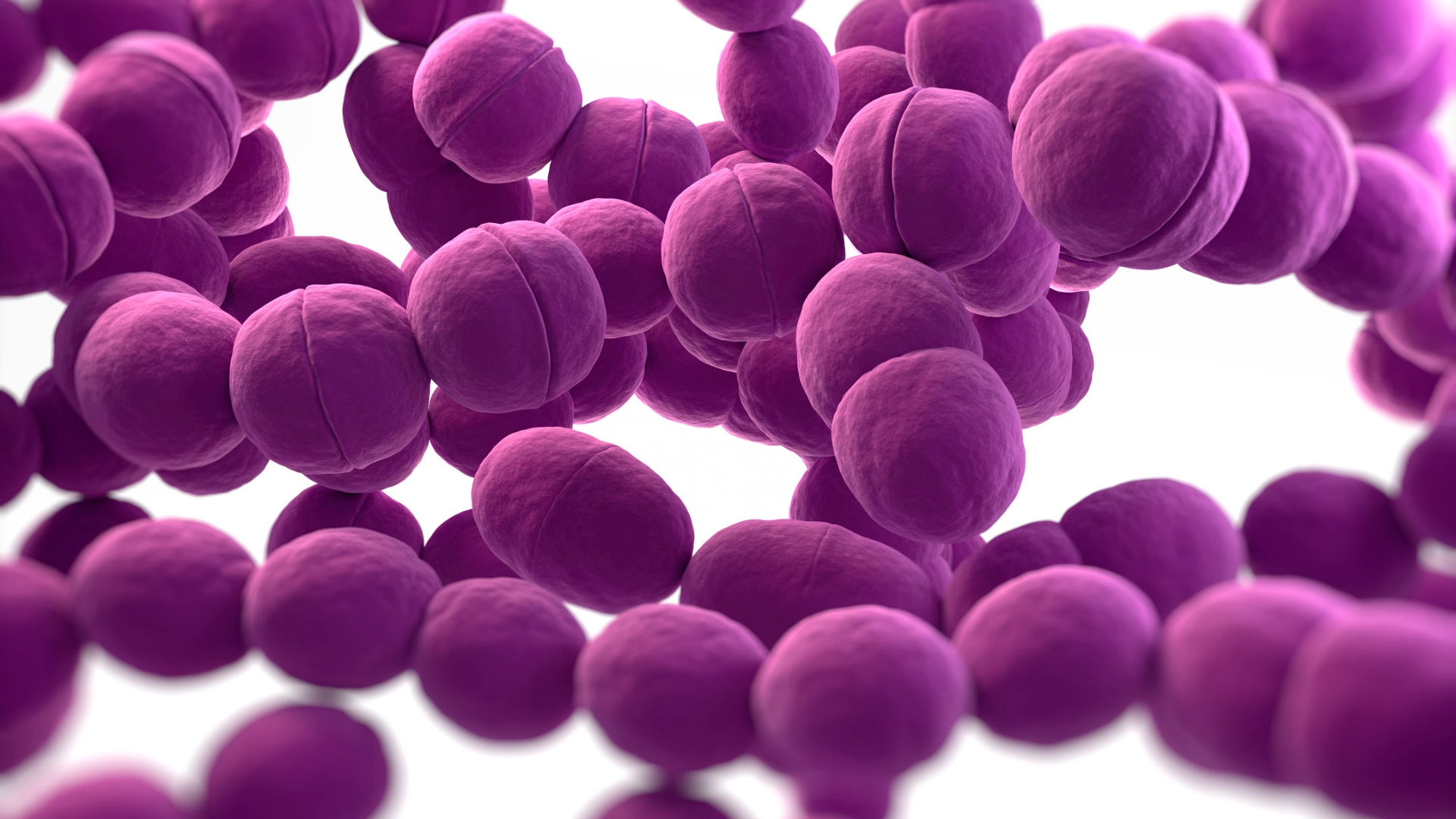 Liên cầu khuẩn nhóm A (GAS) Liên cầu khuẩn nhóm A (GAS)