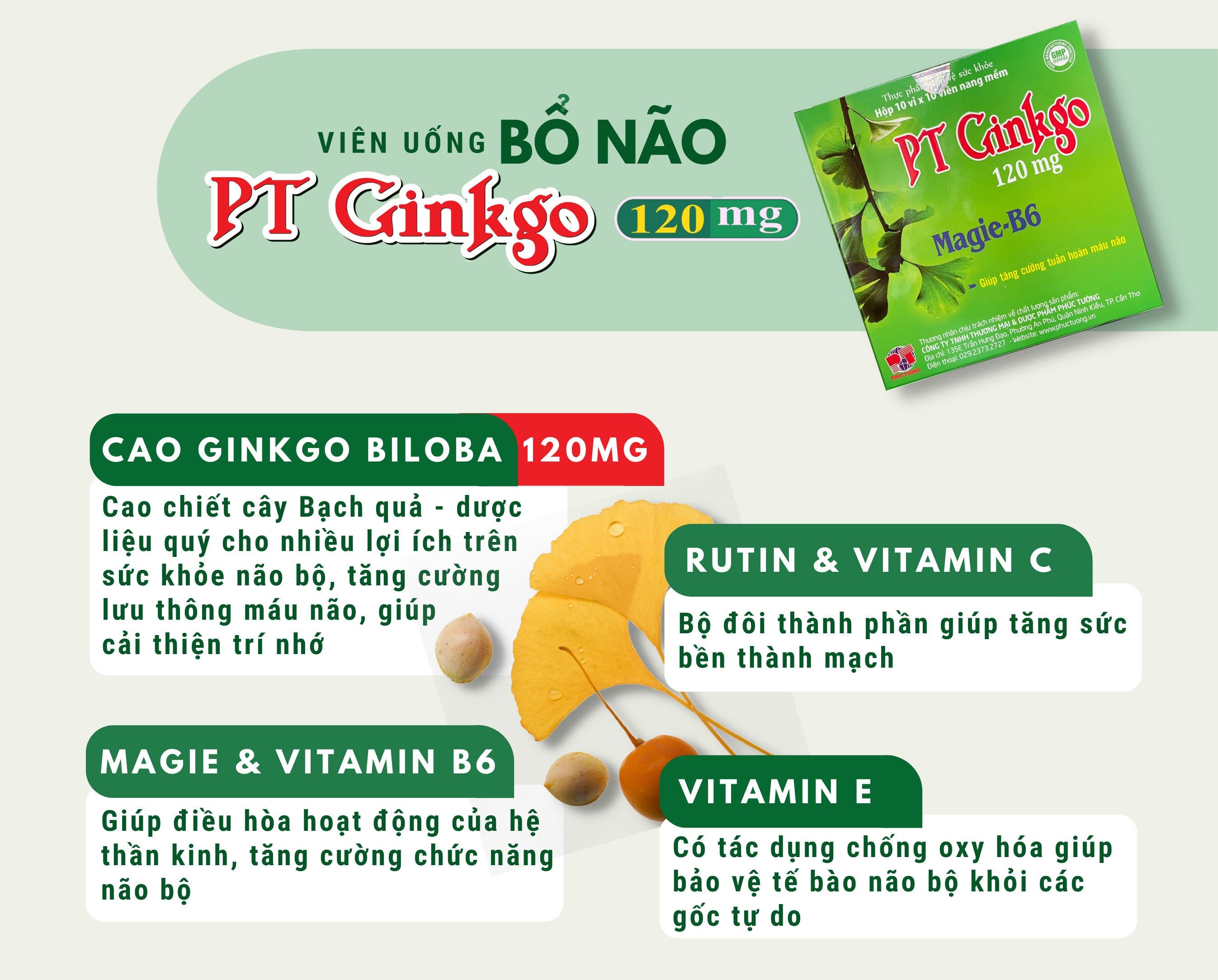 PT GINKGO - Viên uống bổ não và cải thiện trí nhớ PT GINKGO - Viên uống bổ não và cải thiện trí nhớ