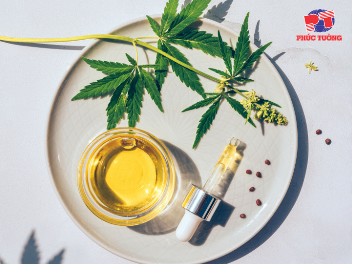 Tinh dầu tràm là một loại tinh dầu được chiết xuất từ lá và cành của cây tràm Tinh dầu tràm là một loại tinh dầu được chiết xuất từ lá và cành của cây tràm