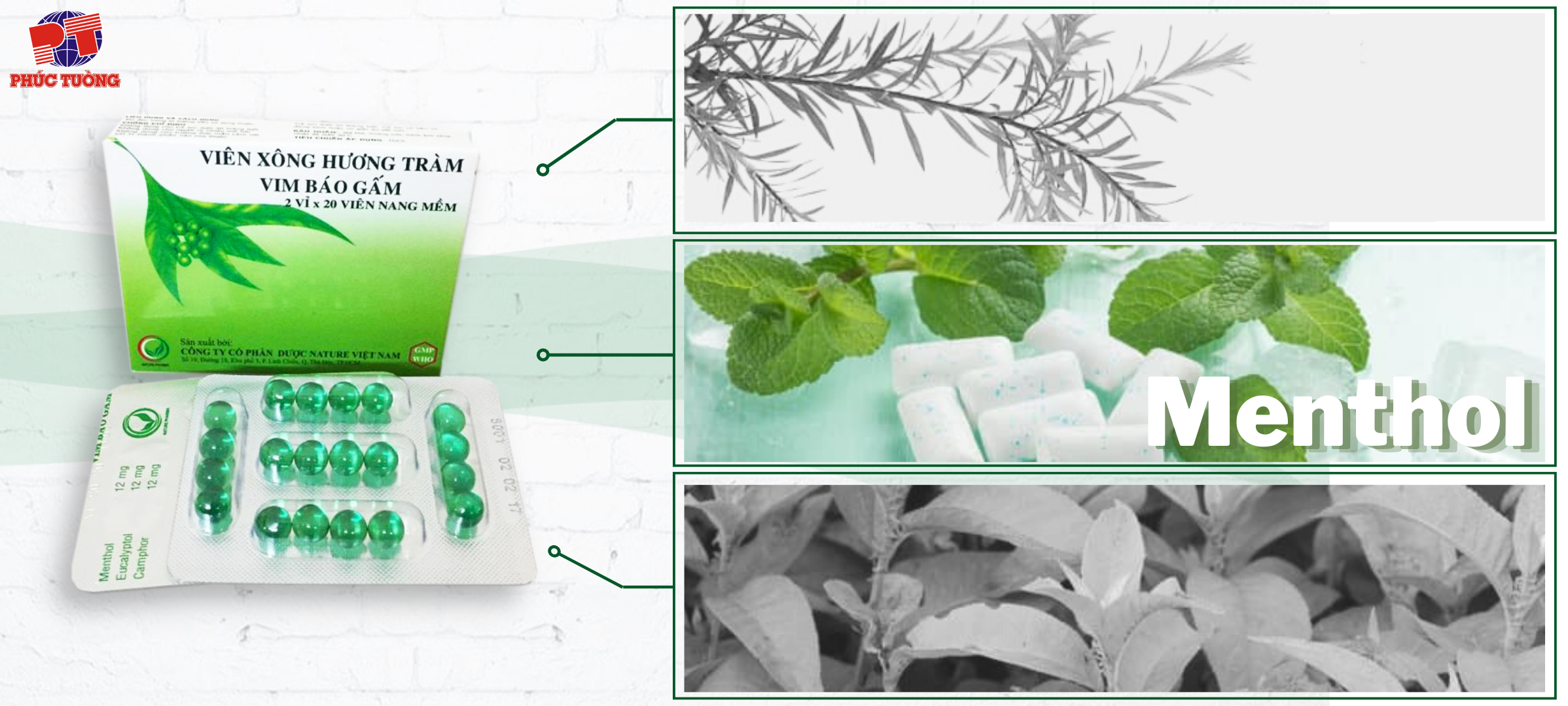 Menthol với mùi hương đặc trưng cho cảm giác sảng khoái tức thì, giúp giảm bớt các triệu chứng khó chịu của đường tiêu hóa, giảm đau, kháng khuẩn Menthol với mùi hương đặc trưng cho cảm giác sảng khoái tức thì, giúp giảm bớt các triệu chứng khó chịu của đường tiêu hóa, giảm đau, kháng khuẩn