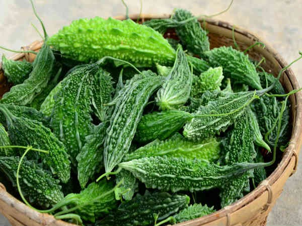 Mướp đắng thần dược ngừa bệnh ung thư và chữa tiểu đường Mướp đắng thần dược ngừa bệnh ung thư và chữa tiểu đường