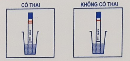 Đọc kết quả que Queen Start 2.4 Đọc kết quả que Queen Start 2.4