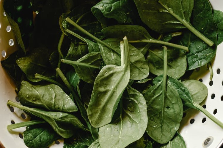 Rau chân vịt cực tốt cho sức khỏe Rau chân vịt cực tốt cho sức khỏe