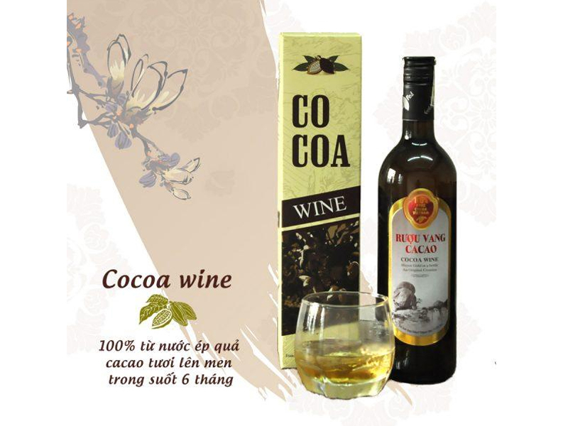 Rượu cacao Cocoa - Món quà sức khỏe cho người thân thương Rượu cacao Cocoa - Món quà sức khỏe cho người thân thương