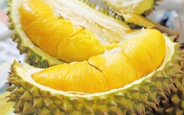 Sầu riêng có hàm lượng calo cao Sầu riêng có hàm lượng calo cao