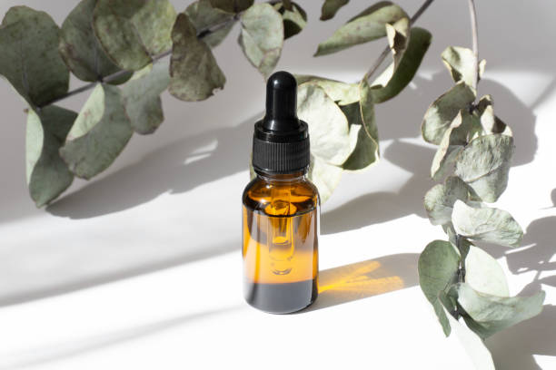 Trẻ sơ sinh và trẻ em nên sử dụng tinh dầu của Eucalyptus radiata Trẻ sơ sinh và trẻ em nên sử dụng tinh dầu của Eucalyptus radiata