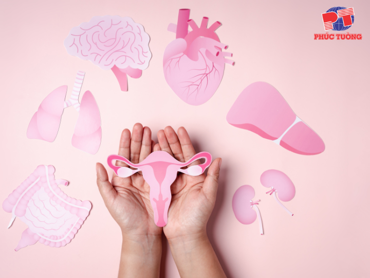 Sự thay đổi ở thời kỳ tiền mãn kinh Sự thay đổi ở thời kỳ tiền mãn kinh