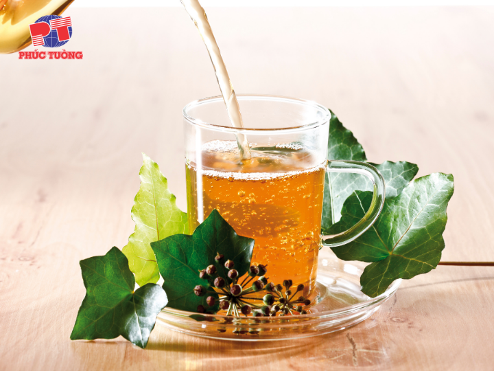 Tác dụng của lá thường xuân trong điều trị bệnh Tác dụng của lá thường xuân trong điều trị bệnh