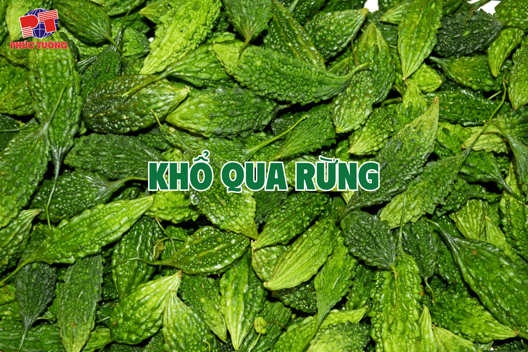 Khổ qua rừng Khổ qua rừng