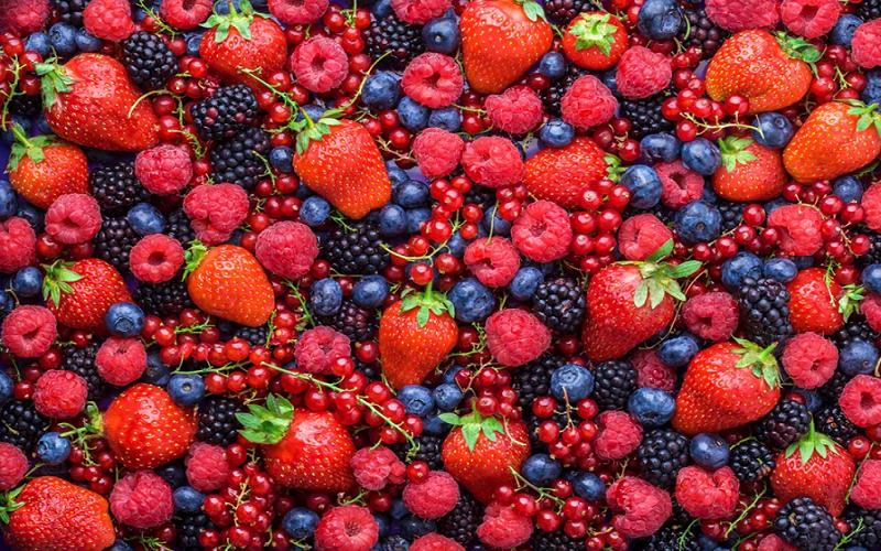 Quả mọng có tác dụng chống viêm vượt trội Quả mọng có tác dụng chống viêm vượt trội