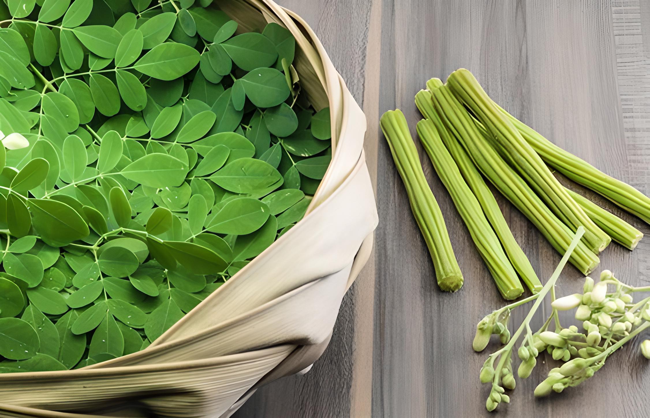 Lợi ích từ thực phẩm dinh dưỡng moringa Lợi ích từ thực phẩm dinh dưỡng moringa