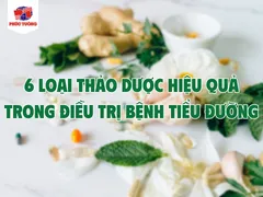 CÁC LOẠI THẢO DƯỢC ỔN ĐỊNH ĐƯỜNG HUYẾT TỐT CHO NGƯỜI BỆNH TIỂU ĐƯỜNG
